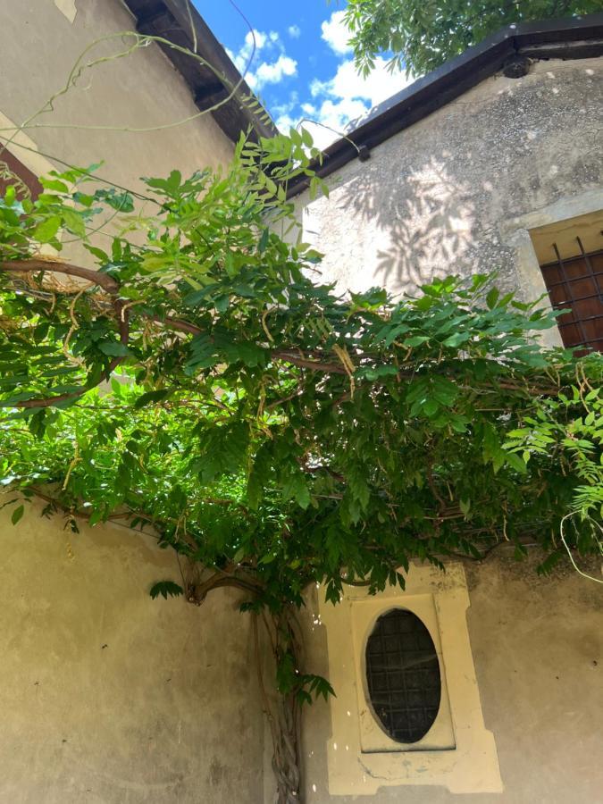 Bed and Breakfast Casa Barattini Zocchetta Екстер'єр фото