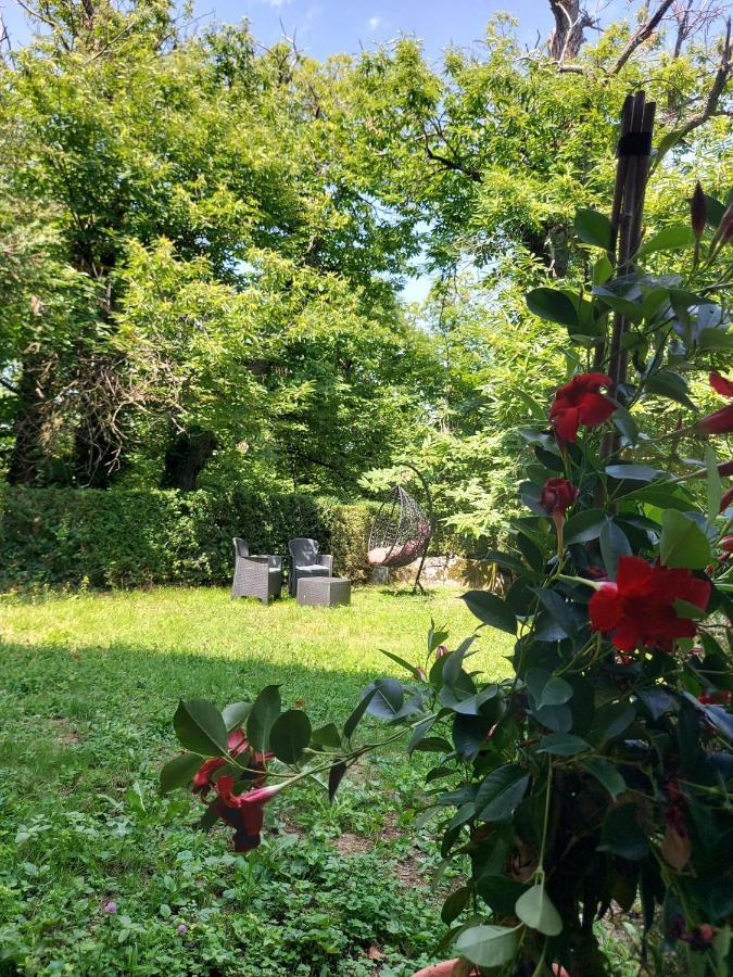 Bed and Breakfast Casa Barattini Zocchetta Екстер'єр фото
