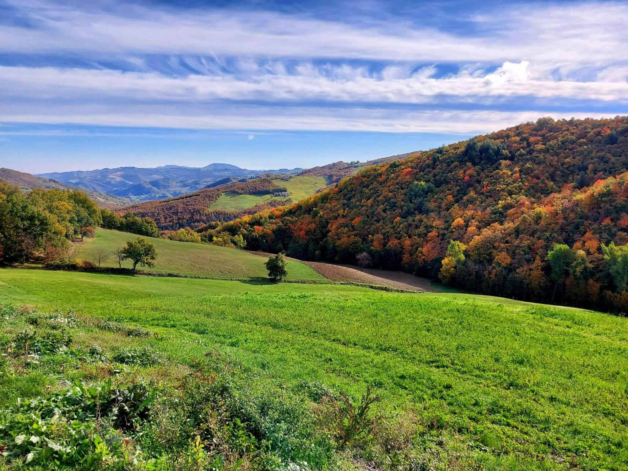 Bed and Breakfast Casa Barattini Zocchetta Екстер'єр фото